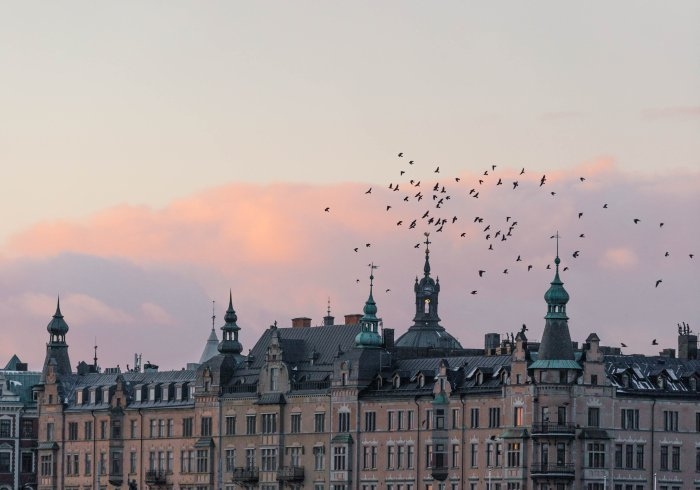 Picture: Birds over Stockholm by Marten Bjork, license CC0 1.0, cropped